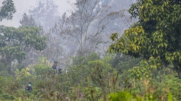 Karhutla Kalbar: 4 Korporasi Resmi Dibidik Pemerintah
