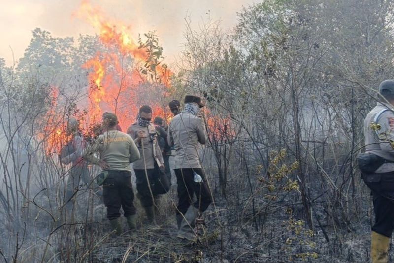 Karhutla TN Way Kambas masih berkobar, 673,4 hektare kawasan terbakar
