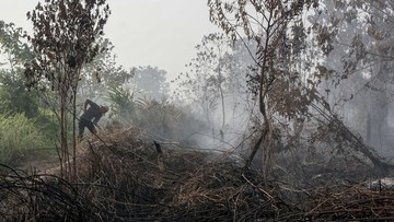 Polisi Buru Pemodal di Balik Dugaan Pembakaran Hutan di Kalimantan